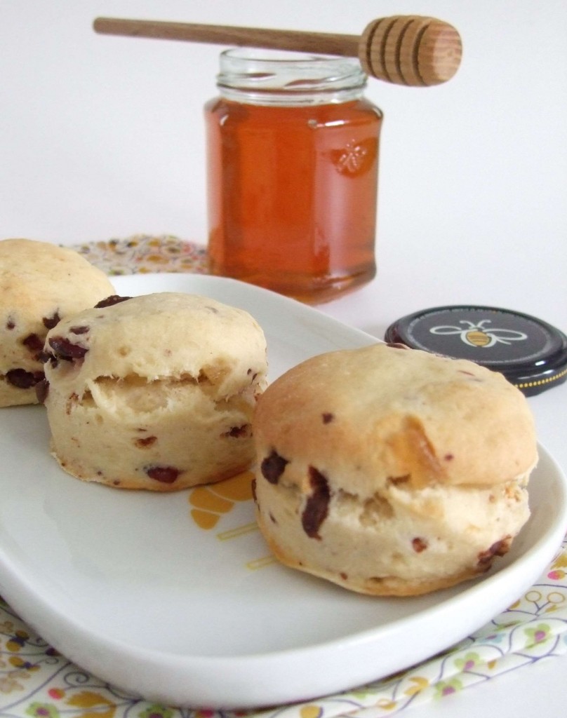 scones_cranberries_choc_gingembre