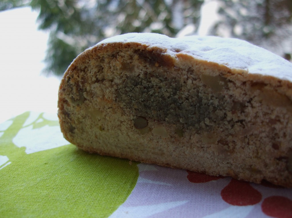 stollen2010